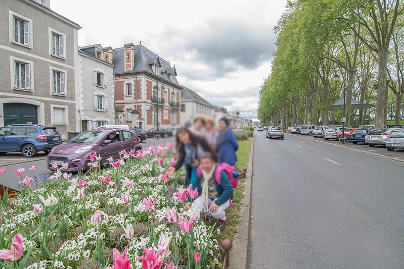 Amboise ville fleurie